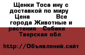 Щенки Тоса-ину с доставкой по миру › Цена ­ 68 000 - Все города Животные и растения » Собаки   . Тверская обл.
